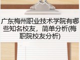 广东梅州职业技术学院有哪些知名校友，简单分析(梅职院校友分析)