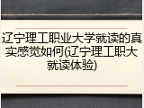 辽宁理工职业大学就读的真实感觉如何(辽宁理工职大就读体验)