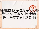 锦州医科大学医疗学院有哪些专业，王牌专业分析(锦医大医疗学院王牌专业)