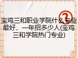 宝鸡三和职业学院什么专业最好，一年招多少人(宝鸡三和学院热门专业)