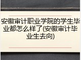 安徽审计职业学院的学生毕业都怎么样了(安徽审计毕业生去向)