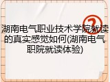 湖南电气职业技术学院就读的真实感觉如何(湖南电气职院就读体验)