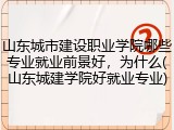 山东城市建设职业学院哪些专业就业前景好，为什么(山东城建学院好就业专业)