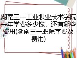 湖南三一工业职业技术学院一年学费多少钱，还有哪些费用(湖南三一职院学费及费用)
