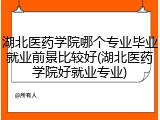 湖北医药学院哪个专业毕业就业前景比较好(湖北医药学院好就业专业)