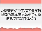 安徽现代信息工程职业学院就读的真实感觉如何("安徽信息学院就读体验")
