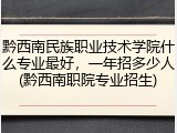 黔西南民族职业技术学院什么专业最好，一年招多少人(黔西南职院专业招生)