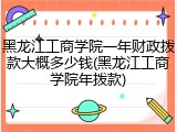 黑龙江工商学院一年财政拨款大概多少钱(黑龙江工商学院年拨款)