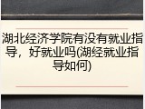 湖北经济学院有没有就业指导，好就业吗(湖经就业指导如何)