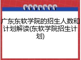 广东东软学院的招生人数和计划解读(东软学院招生计划)