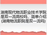 湖南现代物流职业技术学院是双一流高校吗，简单介绍(湖南物流职院是双一流吗)