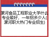 漯河食品工程职业大学什么专业最好，一年招多少人(漯河职大热门专业招生)