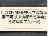 江苏财经职业技术学院就读期间可以申请哪些奖学金(苏财院奖学金种类)