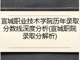 宣城职业技术学院历年录取分数线深度分析(宣城职院录取分解析)