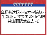 合肥共达职业技术学院毕业生就业大致去向如何(合肥共达职院就业去向)