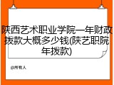 陕西艺术职业学院一年财政拨款大概多少钱(陕艺职院年拨款)