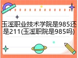 玉溪职业技术学院是985还是211(玉溪职院是985吗)