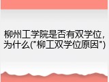 柳州工学院是否有双学位，为什么("柳工双学位原因")