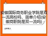 安徽国际商务职业学院是双一流高校吗，简单介绍(安徽商职院是双一流吗)