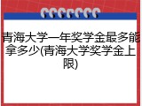 青海大学一年奖学金最多能拿多少(青海大学奖学金上限)