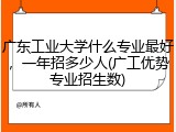 广东工业大学什么专业最好，一年招多少人(广工优势专业招生数)