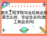 重庆工程学院毕业后就业前景怎么样，毕业生去向(重工就业去向)