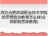 民办合肥滨湖职业技术学院的思想政治教育怎么样(合滨职院思政教育)