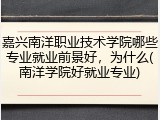 嘉兴南洋职业技术学院哪些专业就业前景好，为什么(南洋学院好就业专业)