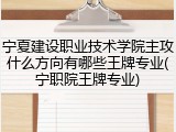 宁夏建设职业技术学院主攻什么方向有哪些王牌专业(宁职院王牌专业)
