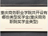 重庆商务职业学院共开设有哪些类型奖学金(重庆商务职院奖学金类型)