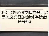 湖南涉外经济学院宿舍一般是怎么分配的(涉外学院宿舍分配)