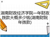 湖南财政经济学院一年财政拨款大概多少钱(湖南财院年拨款)