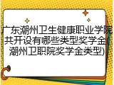 广东潮州卫生健康职业学院共开设有哪些类型奖学金(潮州卫职院奖学金类型)