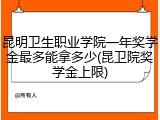 昆明卫生职业学院一年奖学金最多能拿多少(昆卫院奖学金上限)