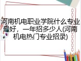 河南机电职业学院什么专业最好，一年招多少人(河南机电热门专业招录)