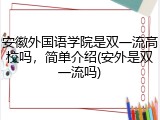 安徽外国语学院是双一流高校吗，简单介绍(安外是双一流吗)