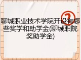 聊城职业技术学院开设有哪些奖学和助学金(聊城职院奖助学金)