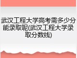 武汉工程大学高考需多少分能录取呢(武汉工程大学录取分数线)