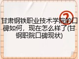 甘肃钢铁职业技术学院的口碑如何，现在怎么样了(甘钢职院口碑现状)