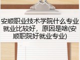 安顺职业技术学院什么专业就业比较好，原因是啥(安顺职院好就业专业)