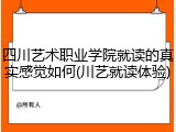 四川艺术职业学院就读的真实感觉如何(川艺就读体验)