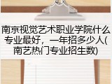 南京视觉艺术职业学院什么专业最好，一年招多少人(南艺热门专业招生数)