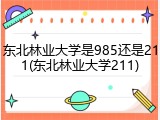 东北林业大学是985还是211(东北林业大学211)