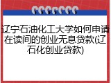 辽宁石油化工大学如何申请在读间的创业无息贷款(辽石化创业贷款)