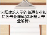 沈阳建筑大学的普通专业和特色专业详解(沈阳建大专业解析)