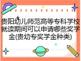 贵阳幼儿师范高等专科学校就读期间可以申请哪些奖学金(贵幼专奖学金种类)