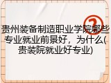 贵州装备制造职业学院哪些专业就业前景好，为什么(贵装院就业好专业)