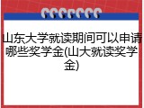 山东大学就读期间可以申请哪些奖学金(山大就读奖学金)