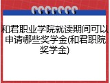 和君职业学院就读期间可以申请哪些奖学金(和君职院奖学金)