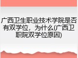 广西卫生职业技术学院是否有双学位，为什么(广西卫职院双学位原因)